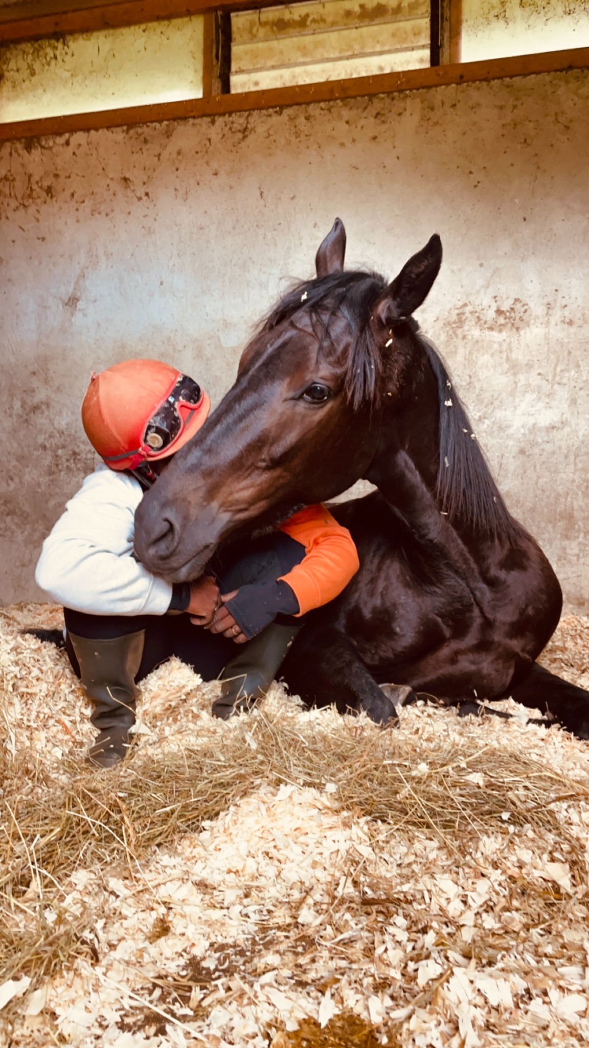 Moment avec les chevaux