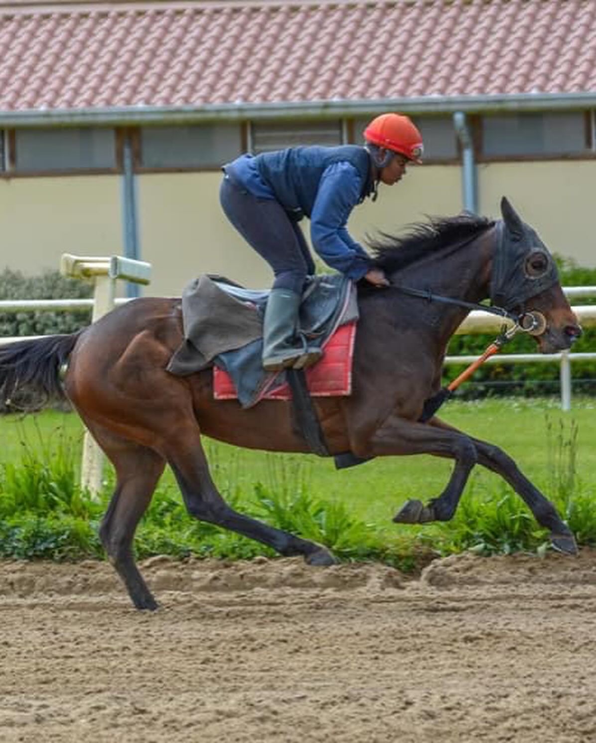 Moment avec les chevaux